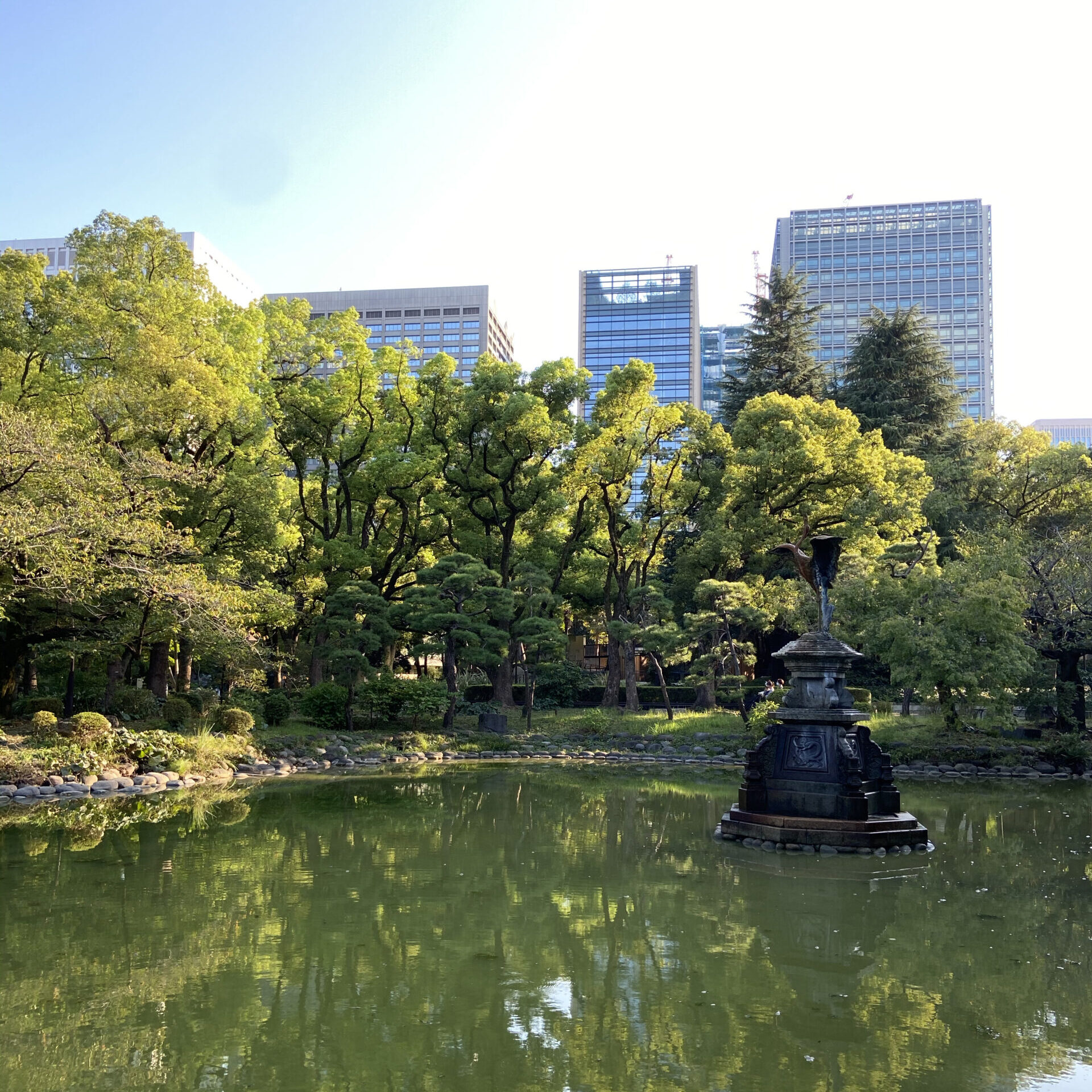 日比谷公園で樹木クイズ